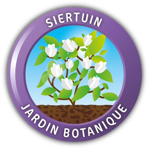 Siertuin